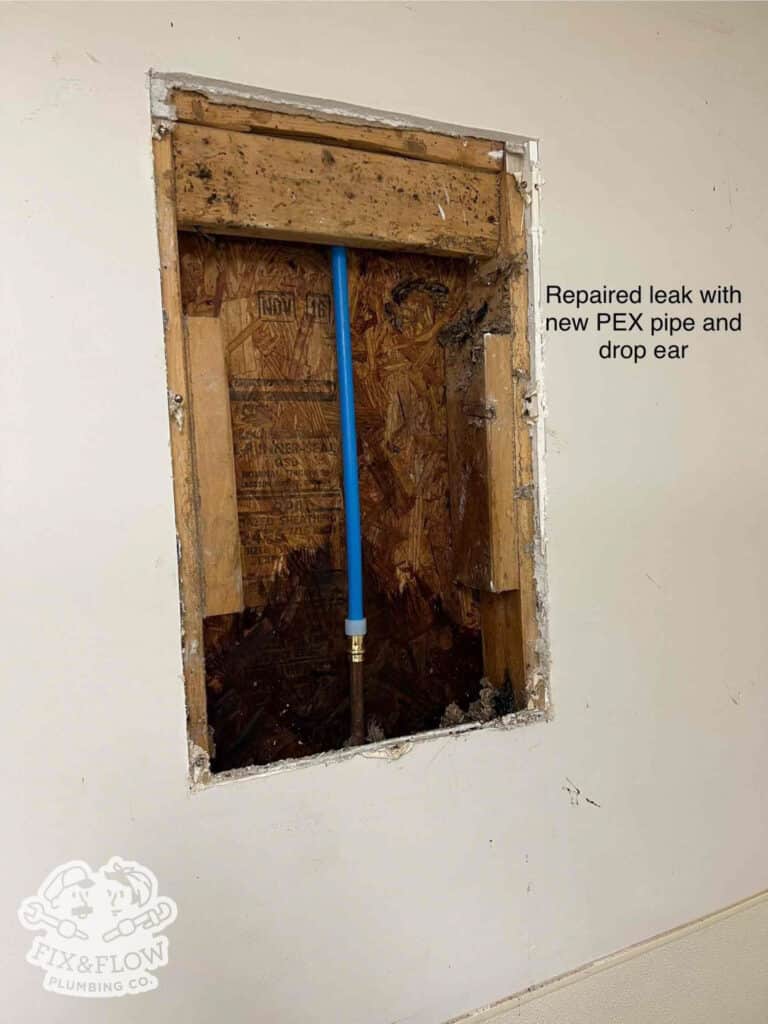 Pool Shower Repair 